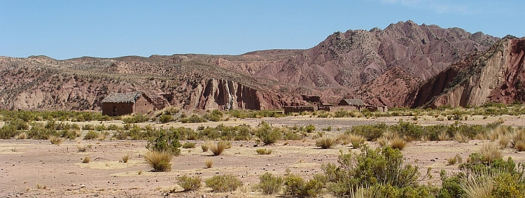 Tussen Patacamaya and Tambo Quemado