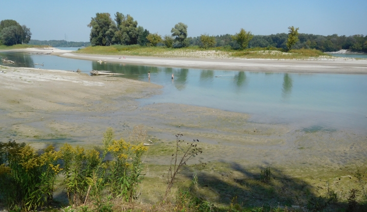 Branch of the Danube