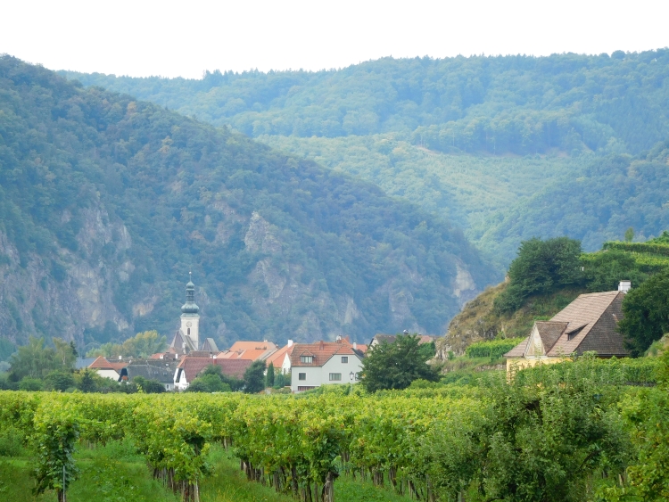 Landschap in Wachau