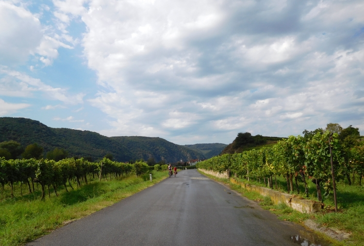 Landschap in Wachau