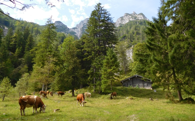 Tussen Ramsau en Hirschbichl