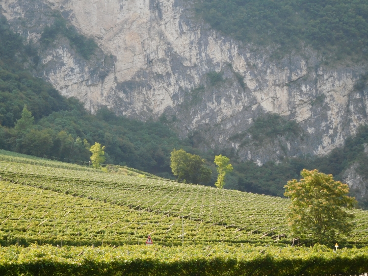 Op weg naar Trento