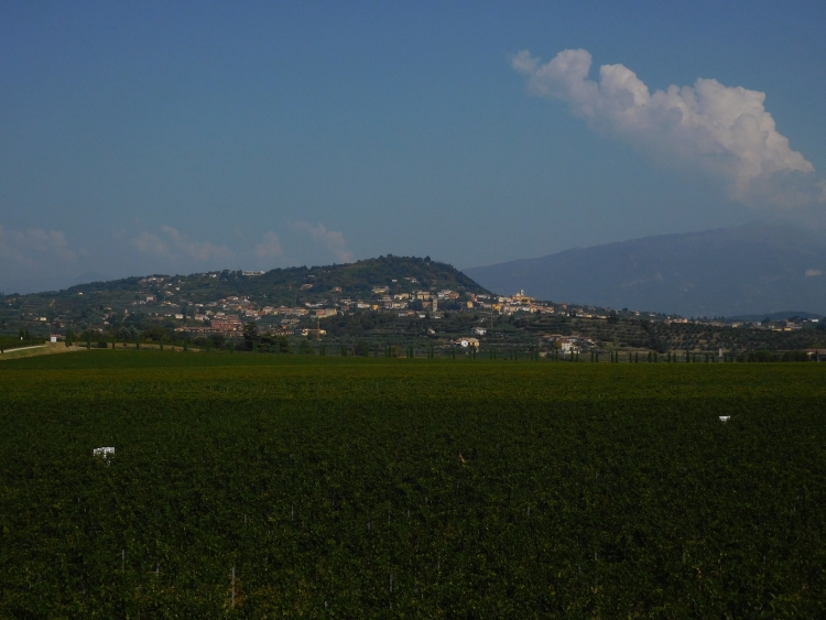 Landschap bij Bardolino