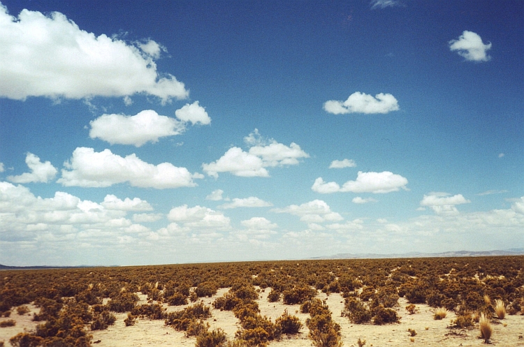 Altiplano Boliviano