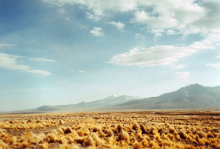 De Altiplano in het late avondlicht