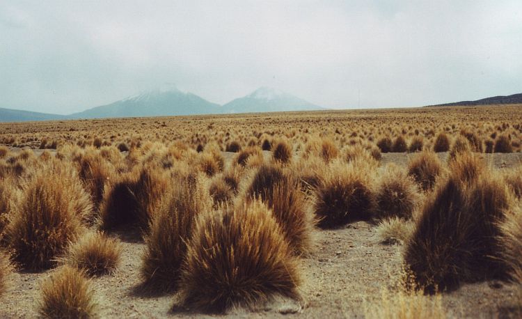 Twin volcanoes Parinacota and Pomerata