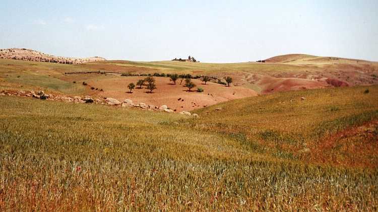 Landerijen op de eerste heuvels van de Atlas