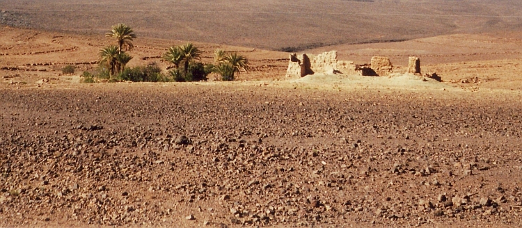 Oasis on the way from Ouarzazate to Agdz