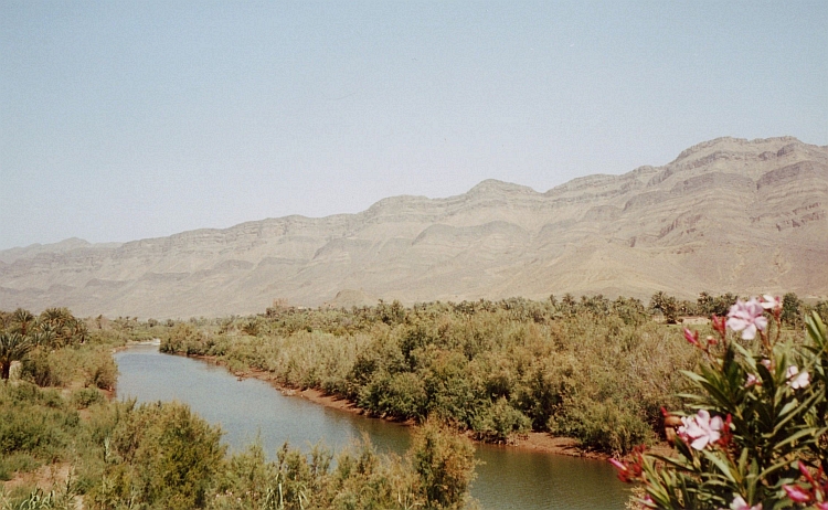 Tussen Agdz en Zagora, Drâa Vallei