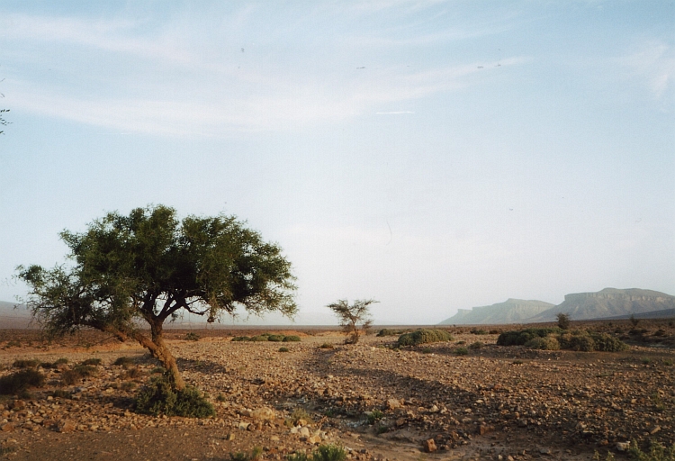 A new morning awakes, Road to Tazzarine