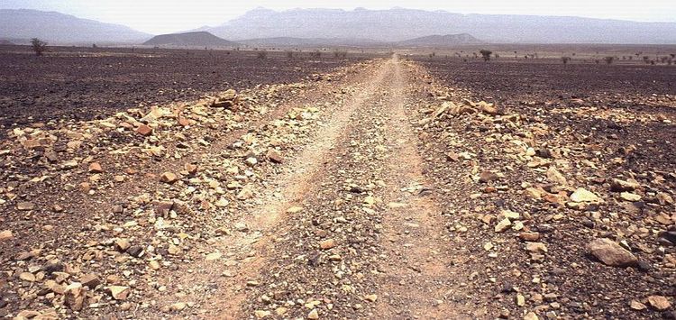 The Road from Zagora to Tazzarine