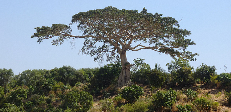 Op de klim uit de eerste kloof