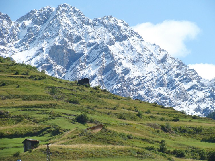 On the climb to the Gávia Pass (2.621 m)