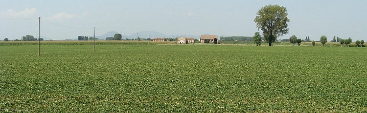 De Povlakte met de Colli Euganei heuvels in de verte