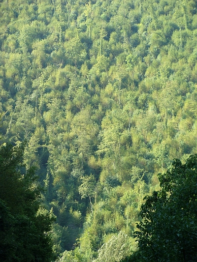 A World in Green, The Appennines of Abruzzo