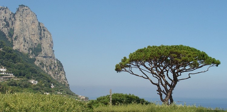 Capri