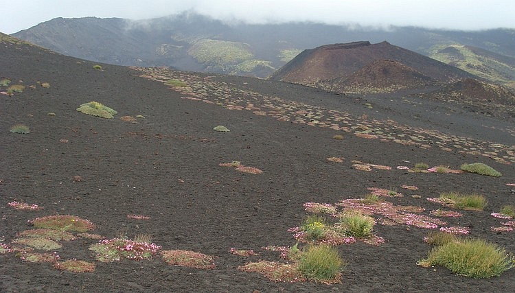 De Etna