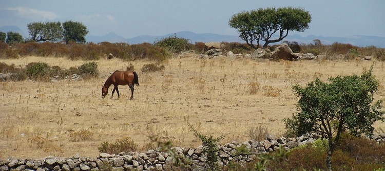 Sardijns landschap