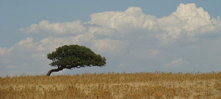 Sardinië