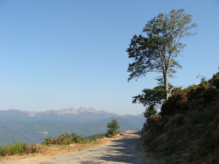 Col de la Vaccia