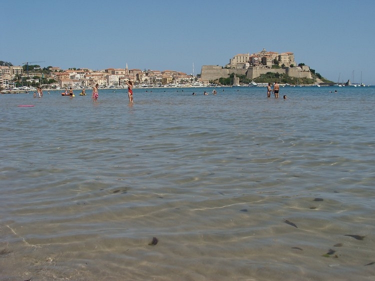 The Citadel of Calvi