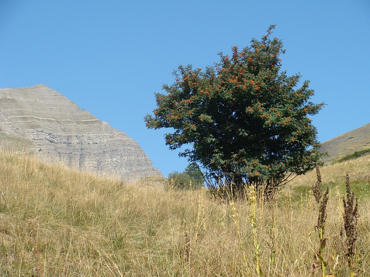 Op weg naar de Col de Vars (2.109 m)