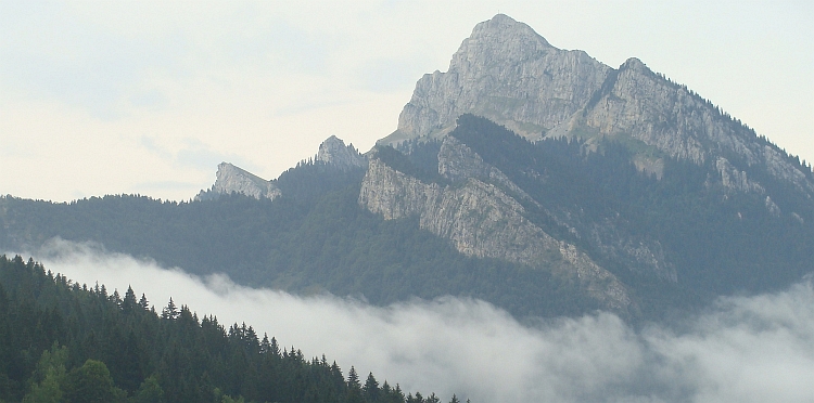 Na de regen, Chartreuse