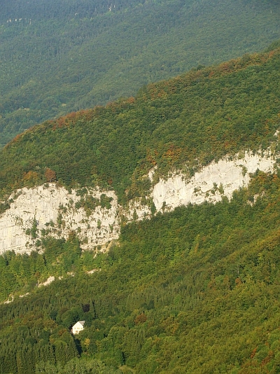 Bos in late avondzon in Chézery Forens, Haut Jura