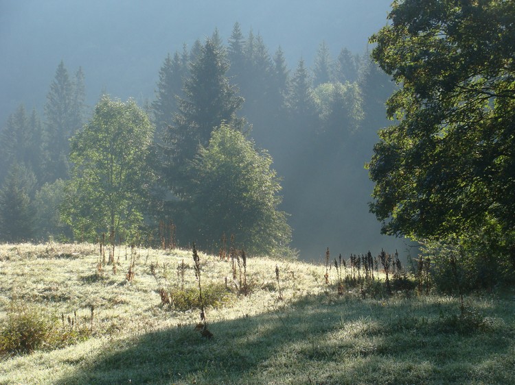 Vroege morgenlicht bij Mijoux in de Haut Jura