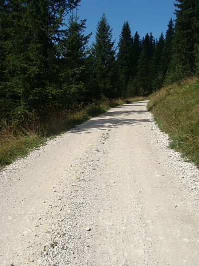 Dirt road between Chapelle de Bois and Foncine le Bas