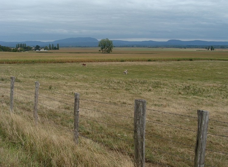 Loue Vallei en de heuvels van de Jura