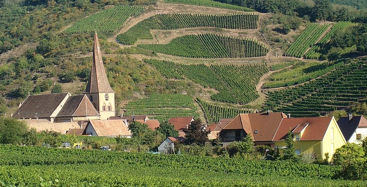 Niedermorschwihr, Alsace