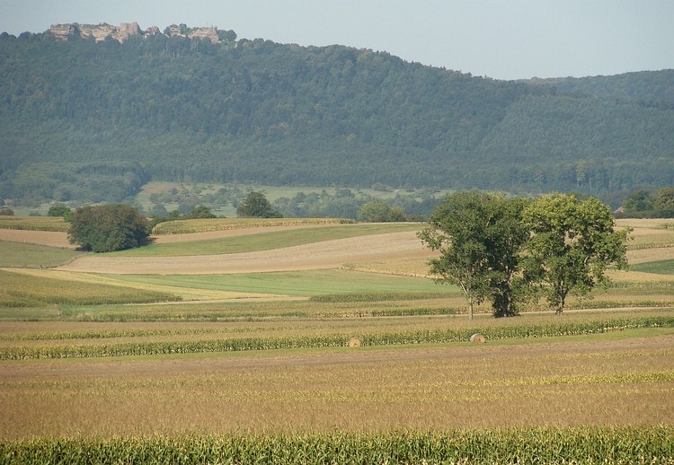 De heuvels van de Vogezen, Elzas