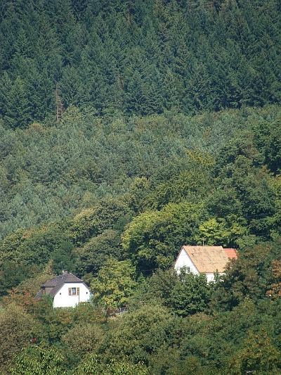 La Petite Pierre, Vosges