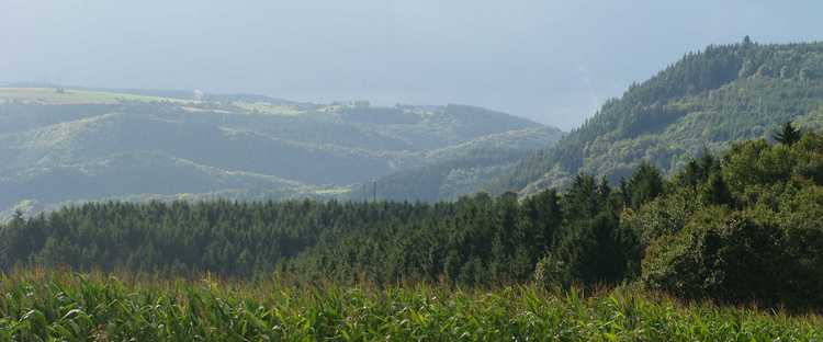 Prelude voor een storm. Tussen Vianden en Clervaux, Luxemburg