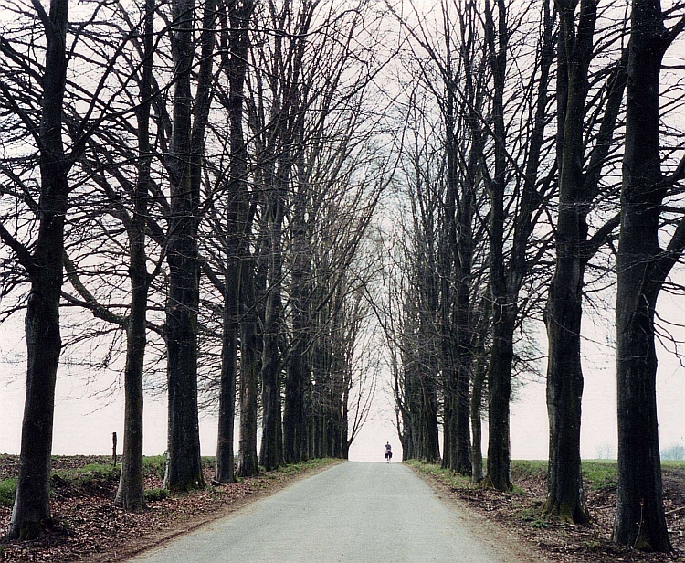 Belgian Ardennes