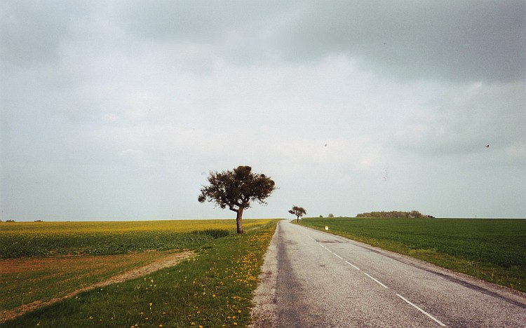 Op weg naar Verdun