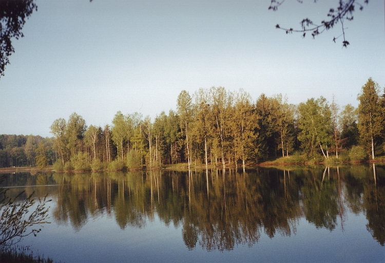 Lakeside, Champagne