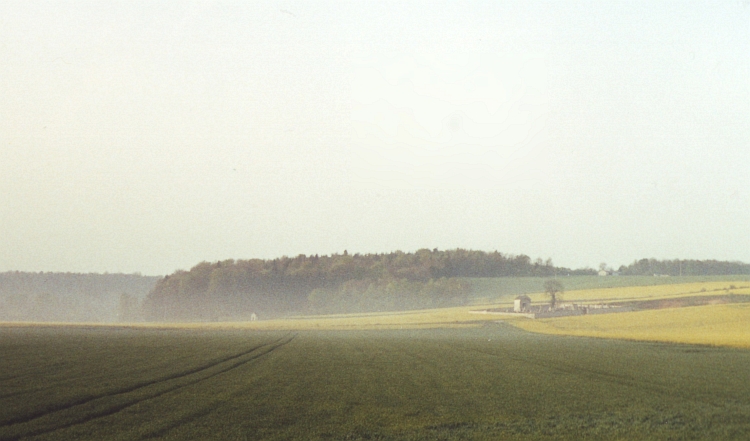 Morning haze, Bourgogne