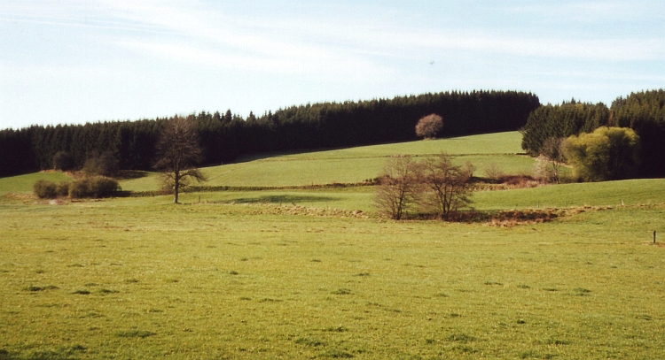 Landschap in het Massif Central