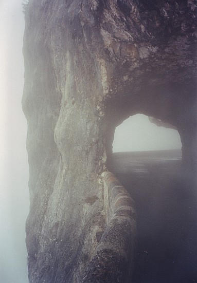 Combe Laval, Vercors