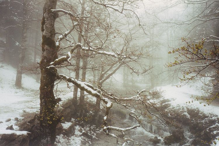 Winterlandschap in de Vercors