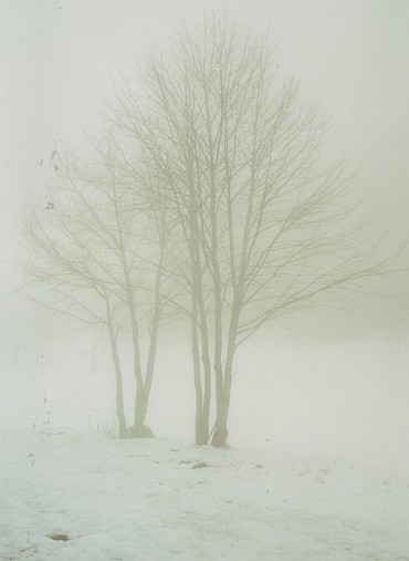 In the snow, Vercors