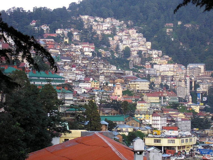 Shimla