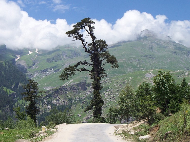 On the long climb towards Rohtang La