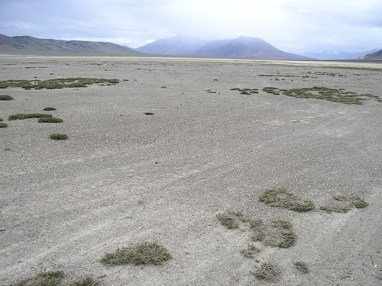 Morey Plains emptiness