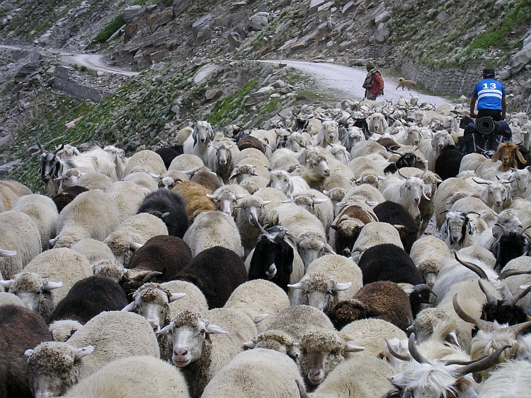 We zijn nooit alleen in de Lahaul Vallei