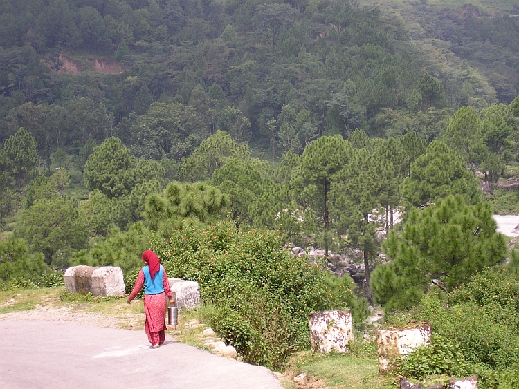 Woman with basket, Kangra Valley