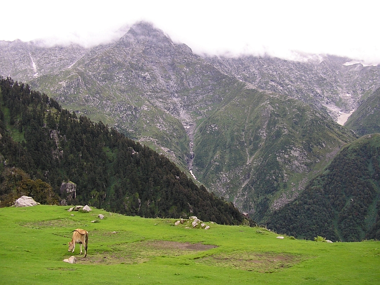 Triund