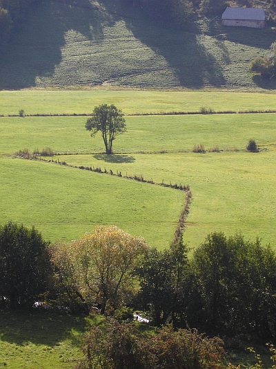 Composition in green, ascent of the Puy Mary